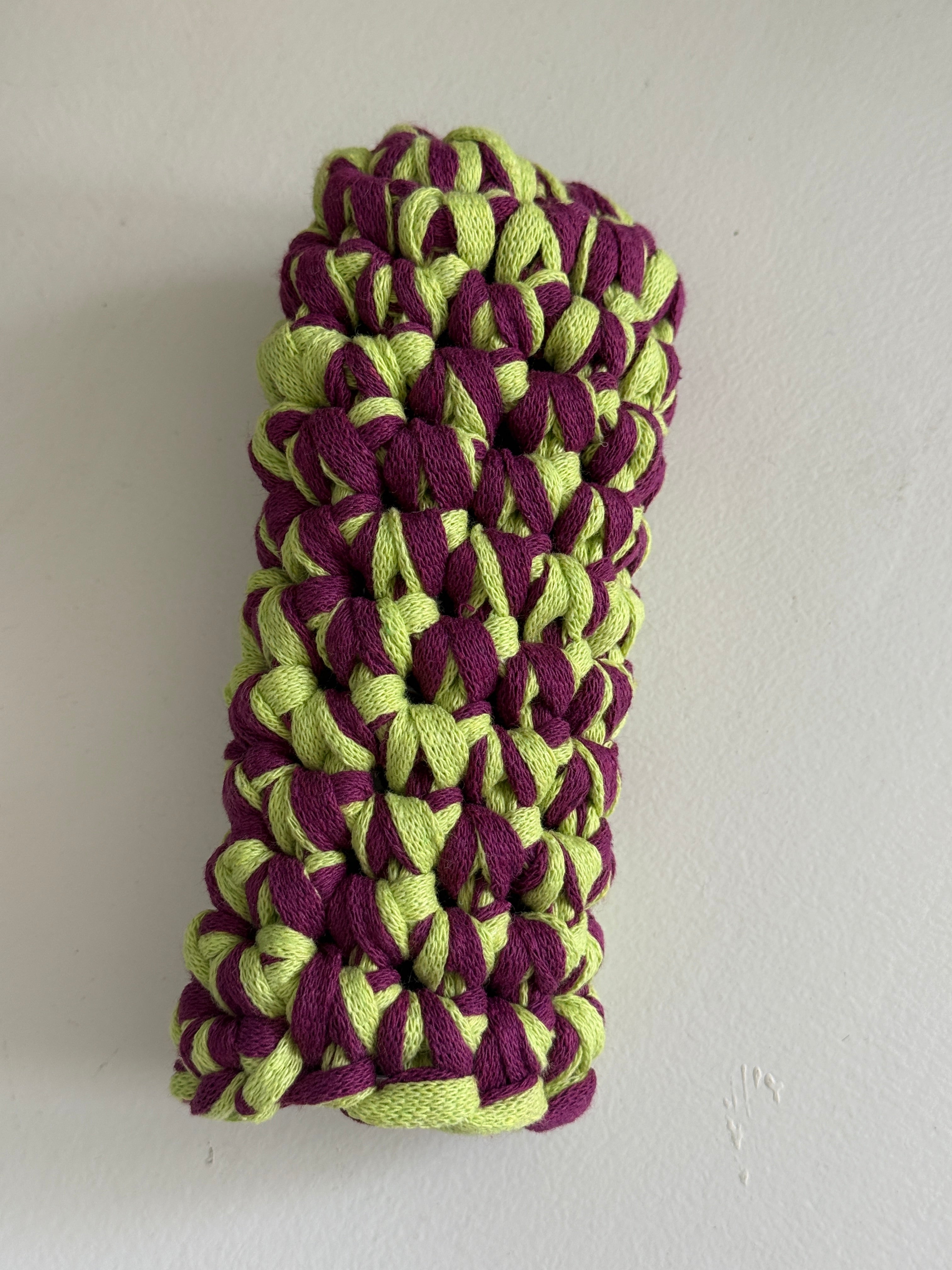 The Sunglass Case in Lime & Burgundy